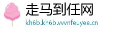 走马到任网